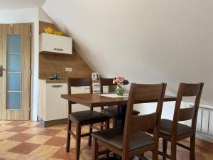 Kuchyňa alebo kuchynka v ubytovaní Apartmán Zelený dom 43 + 4 fotografie