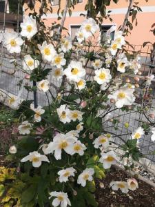 A garden outside Ferienwohnung Wald