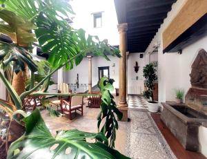 una sala de estar con algunas plantas en una casa en Hotel Rosa De oro en Granada