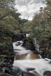 Un río con agua corriendo por un bosque en Crown Hotel en Callander