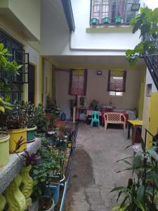 a room filled with lots of potted plants at Zeb's Transient House and Tour in Baguio