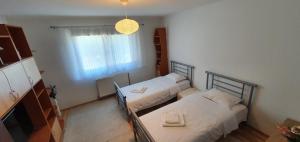 a small room with two beds and a window at Casa Alex si Daiana in Orşova