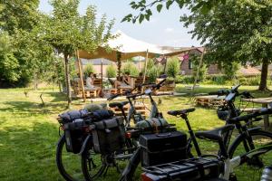 twee fietsen geparkeerd in het gras in een tuin bij De Pastorie in Borgloon