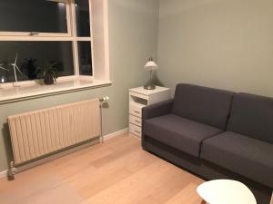 Posezení v ubytování Fredelig overnatning ved Sundet og Nørrestrand sø