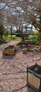 un jardín con árboles y flores en un suelo de tierra en propriété familiale MERLE proche PARAY LE MONIAL en Vauban