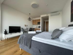 um quarto com uma cama grande e uma televisão em Rannakivi Riverside apartments em Pärnu