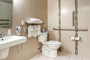 a bathroom with a toilet and a sink and a shower at Econo Lodge in Hicksville +15 photos