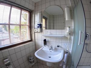 een badkamer met een wastafel en een spiegel bij Hotel Diana in Schönwalde