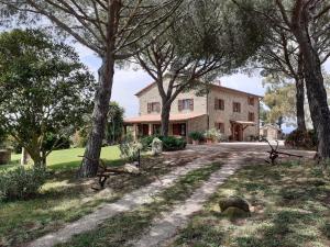 uma casa com árvores e uma estrada de terra em Podere Belvedere Villa Classic Tuscan em Magliano in Toscana