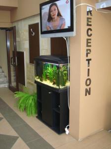a fish tank in a room with a tv at Guest House Lazur in Burgas