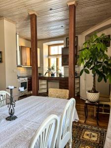 eine Küche und ein Esszimmer mit einem Tisch und einer Pflanze in der Unterkunft Spacious 1-bedroom apartment with Sauna in Rakvere