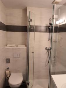 a bathroom with a toilet and a glass shower at Hotel Friedensbruecke in Greiz +23 photos