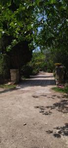 Фотография из галереи Sunny day Rovinj в Ровине