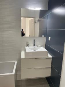 uma casa de banho com um lavatório, um espelho e uma banheira em Superbe appartement T3 proche de la garrigue em Castries