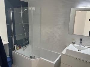uma casa de banho com um chuveiro e um lavatório. em Superbe appartement T3 proche de la garrigue em Castries