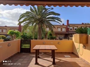 - une table sur une terrasse avec un palmier dans l'établissement Casa Alberto, à Breña Baja