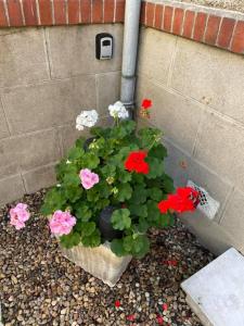 Gallery image of EVASION DE LOIRE in Jargeau