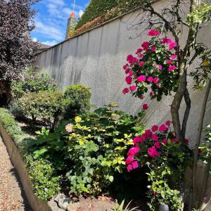 Gallery image of EVASION DE LOIRE in Jargeau