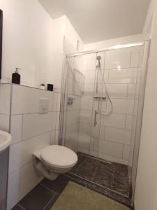 y baño blanco con aseo y ducha. en Central Apartment Flensburg, en Flensburg