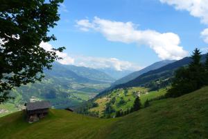 Kalnų panorama iš ūkininko sodyboje arba bendras kalnų vaizdas