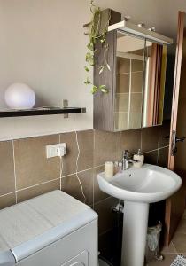 La salle de bains est pourvue d'un lavabo, de toilettes et d'un miroir. dans l'établissement Casa Al convento, à Savillan