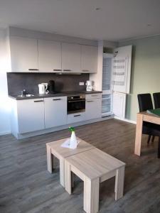 Η κουζίνα ή μικρή κουζίνα στο Zuidstraat 105,2