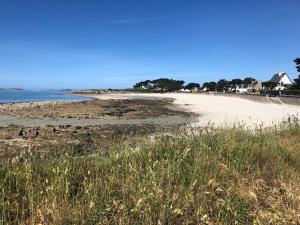 - une plage avec de l'herbe et de l'eau dans l'établissement Carnac plage T2 avec terrasse Pour 4 personnes, à Carnac