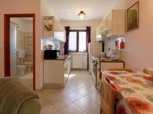 eine Küche mit einer Spüle und einer Arbeitsplatte in der Unterkunft Apartment Laganis in Plovanija