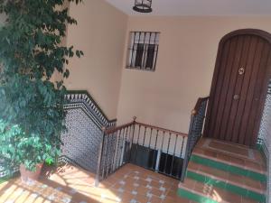 a set of stairs with a window and a plant at Montequinto apartamento 50m en Semisótano in Dos Hermanas