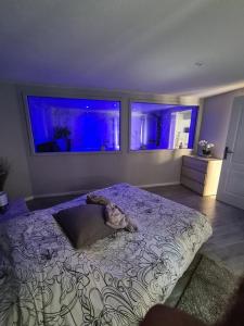ein Schlafzimmer mit einem großen Bett und zwei großen Fenstern in der Unterkunft Spa Apartment in Saint-Maurice