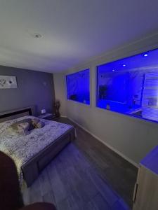 ein Schlafzimmer mit einem Bett und zwei großen Fenstern in der Unterkunft Spa Apartment in Saint-Maurice