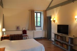 a bedroom with a bed and a tv and a window at Domaine du Chesne in Salbris