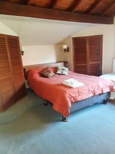 ein Schlafzimmer mit einem Bett mit einer rosa Decke in der Unterkunft Hotel Duclout Confort Inn in Monte Grande