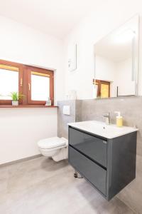 a bathroom with a sink and a toilet and a mirror at Lahn-Living I - Gartenapartment - modern und hell in Lahnstein