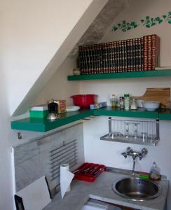 una cocina con fregadero y estanterías verdes en Silent Nest, en Florencia