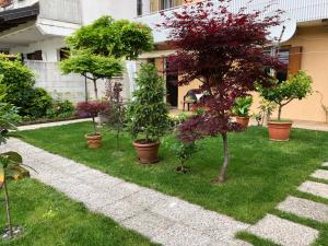 Giardino di Sensory Garden