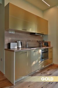 Kuchyň nebo kuchyňský kout v ubytování DV Premium Apartments