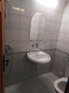 a bathroom with a sink and a mirror at Вила Родопи in Dospat +16 photos