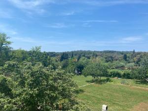 a field of grass with trees in the background at Villa Mara in Pula