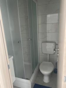 a small bathroom with a toilet and a shower at Villa Mara in Pula