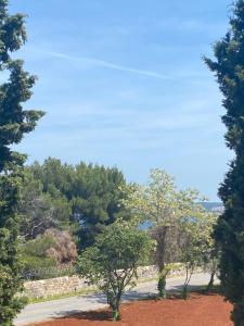 a view of a road between two trees at Villa Mara in Pula