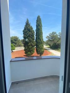 two trees sitting on a window sill at Villa Mara in Pula