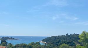 a view of a beach with trees and the ocean at Villa Mara in Pula
