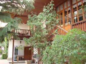 Zahrada ubytování Chakarova Guest House