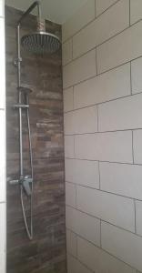 a shower in a bathroom with a brick wall at Chambre Zen à la campagne in Marennes