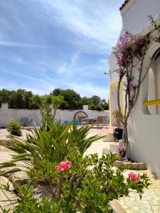 un patio con fiori e piante in un edificio di Vila Horizonte a Carvoeiro