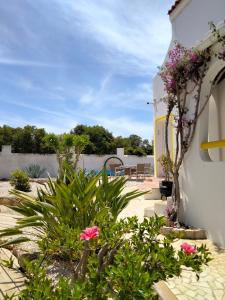 a patio with flowers and plants on a building at Vila Horizonte in Carvoeiro