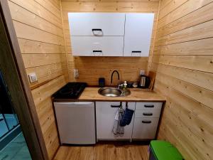 a small kitchen with a sink and a stove at DOMKI We MGLE - Borsk in Borsk