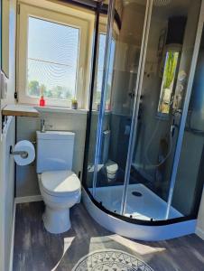 a bathroom with a toilet and a shower at Lianko - Vakantiewoning in Bekkevoort