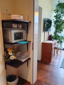 a microwave sitting on a shelf in a kitchen at LUXUSAPPARTEMENT mitten in Leipzig Neueröffnung ! in Leipzig